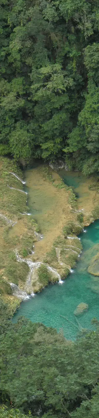 Im türkisfarbenen Wasser von Semuc Champey schwimmen gehen
